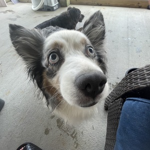 Fundraising Page: Serena Allsworth